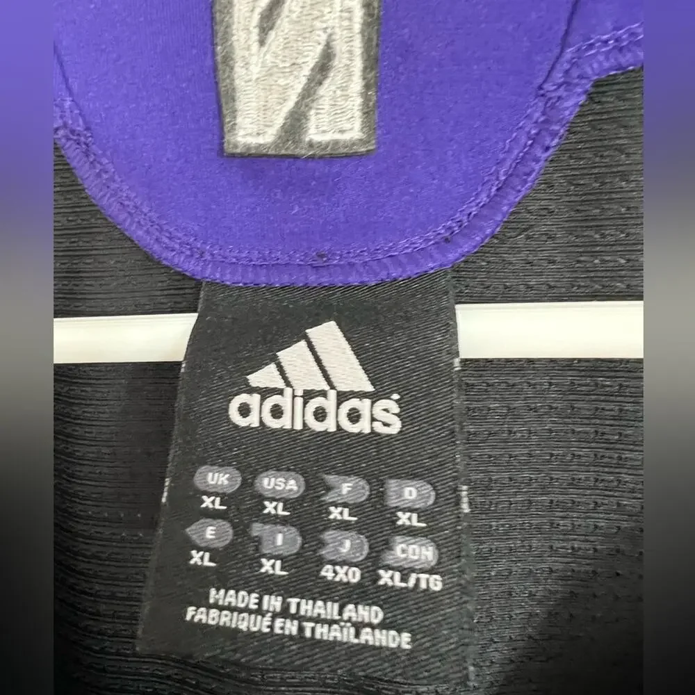 Authentic Vintage Adidas Northwestern Croatian Ivan Peljusic Basketball Jersey